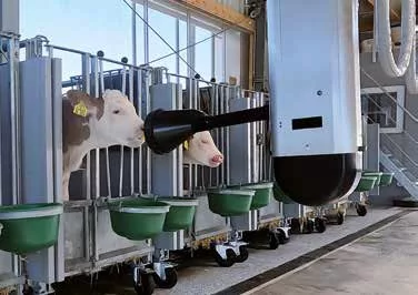 Des veaux boivent au CalfRail, qui permet une alimentation précise et adaptée aux besoins – une solution innovante pour l’élevage moderne des veaux.