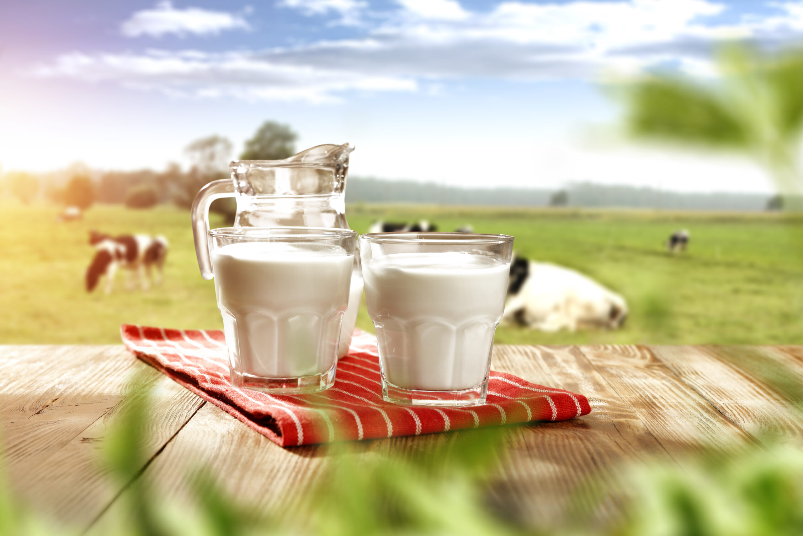 Frisches Glas Milch – Dank des Kompaktpasteurs von Förster-Technik stets hygienisch und qualitativ hochwertig.